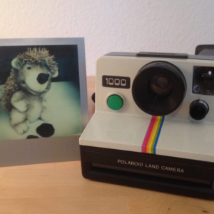 Polaroid «Land 1000» greenbuttoned