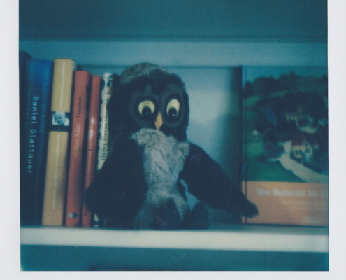 Polaroidfoto Eule im Regal