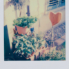Polaroidfoto Garten mit Herz