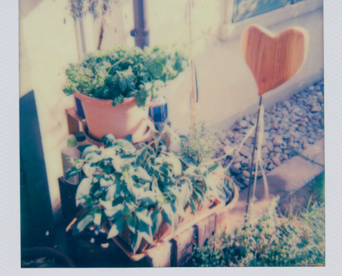 Polaroidfoto Garten mit Herz
