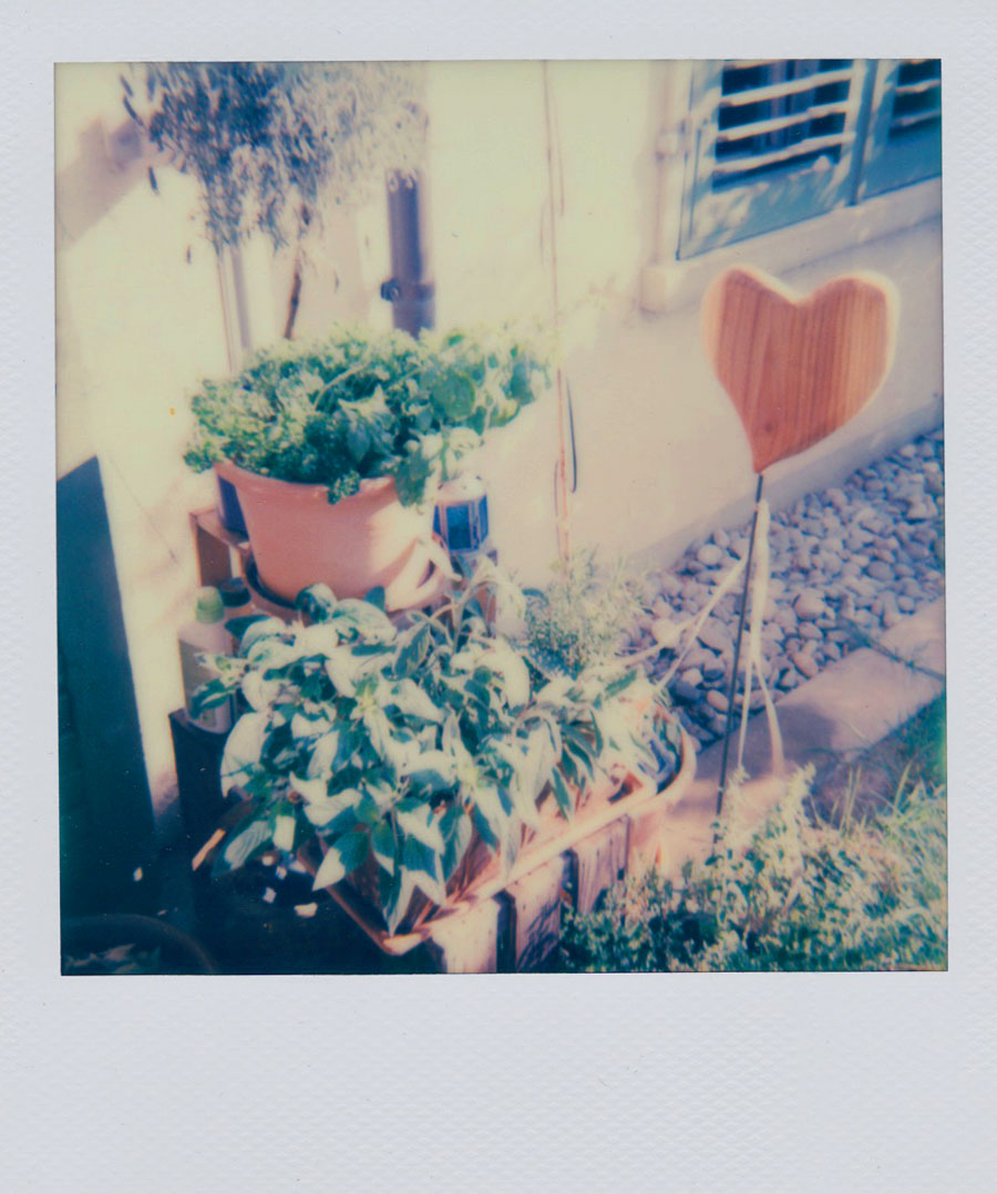 Polaroidfoto Garten mit Herz