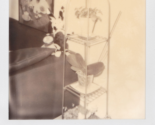 Polaroidfoto Hase mit Pflanze SW
