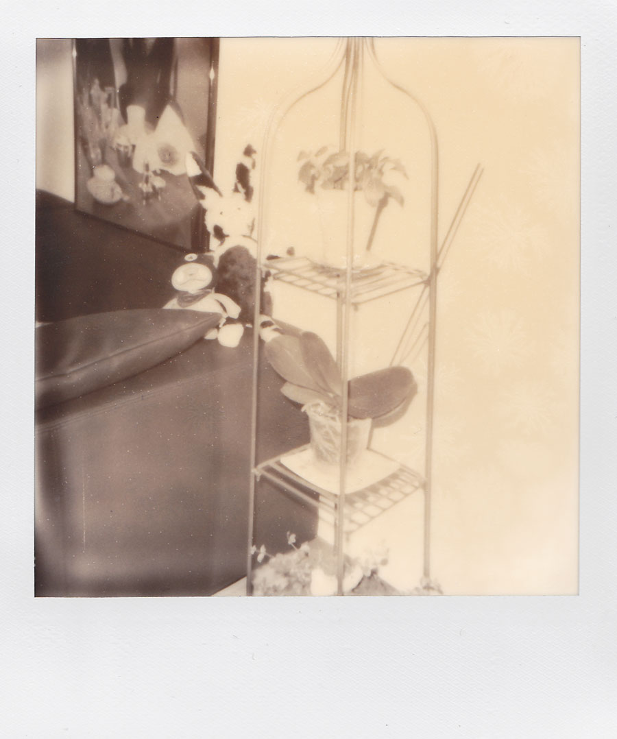 Polaroidfoto Hase mit Pflanze SW
