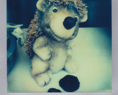 Polaroidfoto Peeky Silverframe
