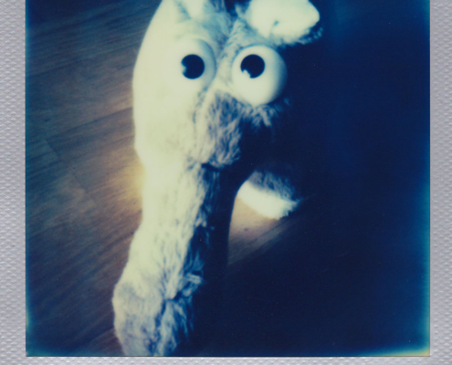 Polaroidfoto Roody Silverframe