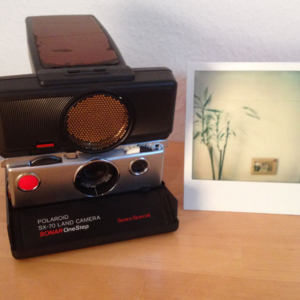 Polaroid «Land SX-70 Sonar OneStep» Leder