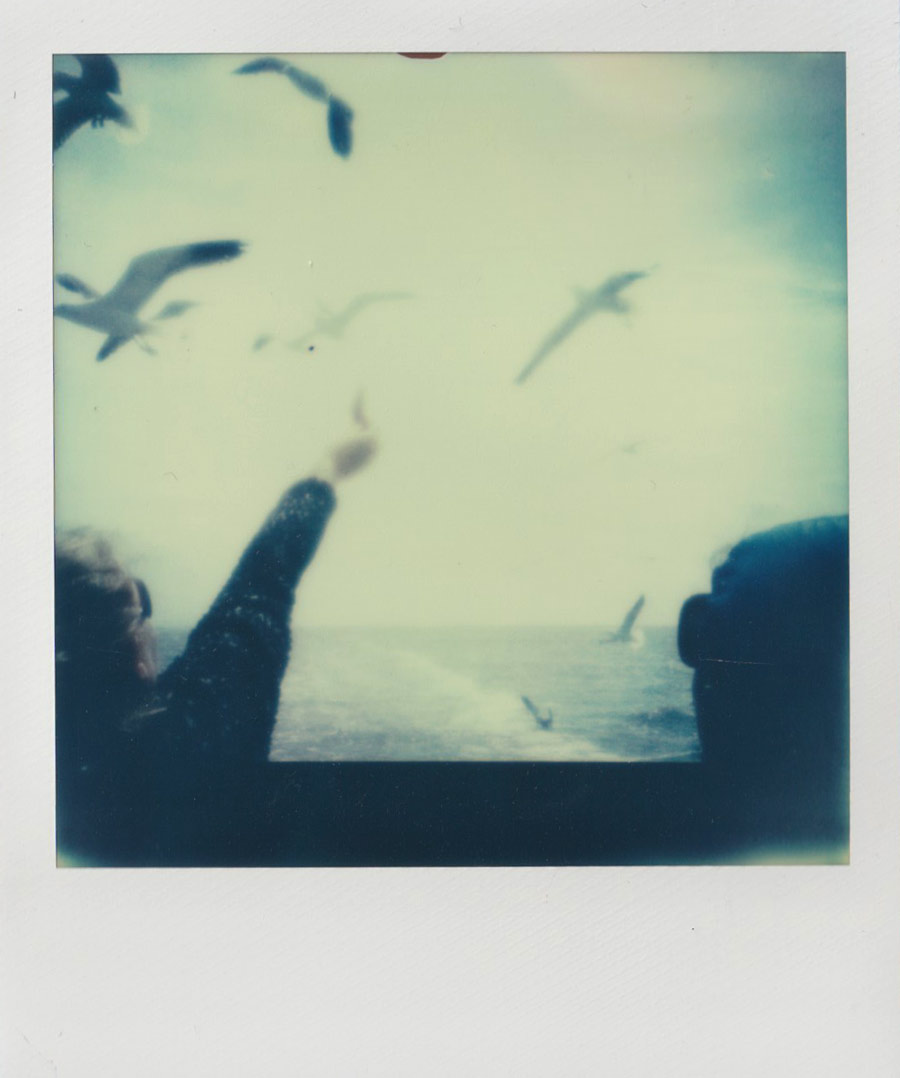 Polaroidfoto Möven Schiff