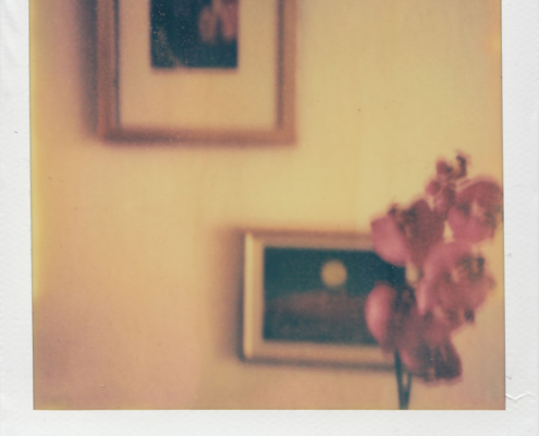 Polaroidfoto Tisch mit Blume