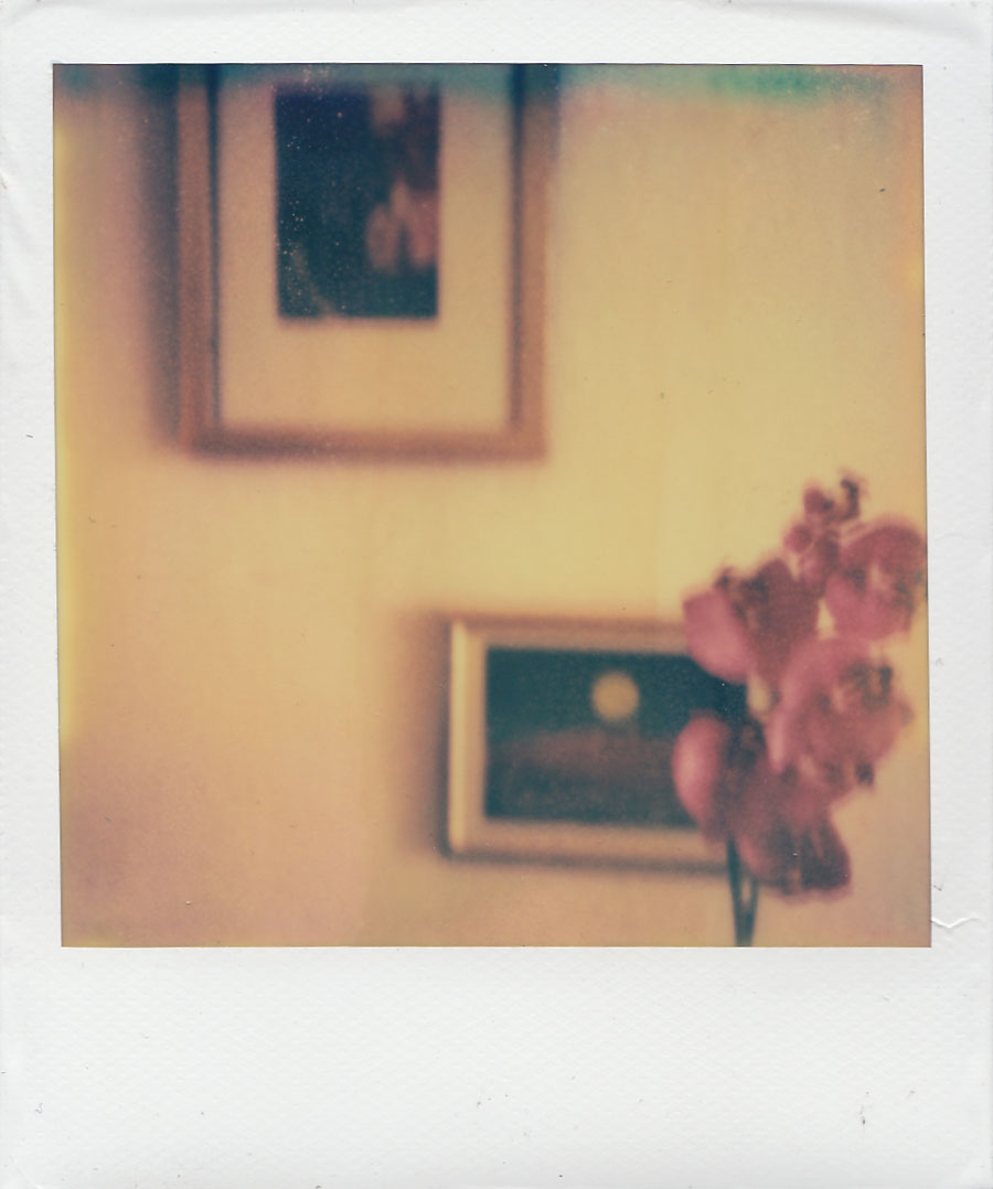 Polaroidfoto Tisch mit Blume